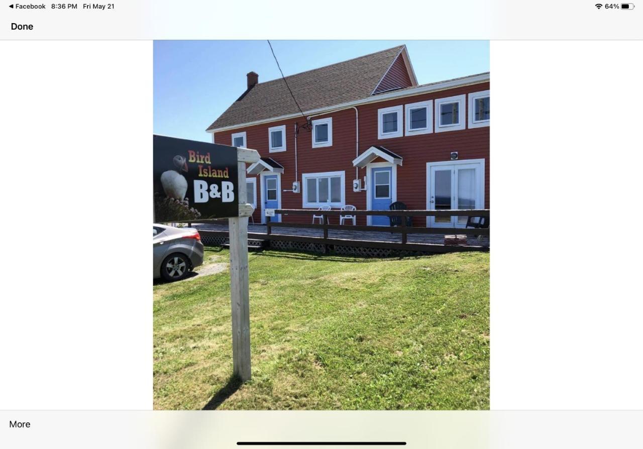 Bird Island B&B Bed And Bubble Elliston Exterior foto