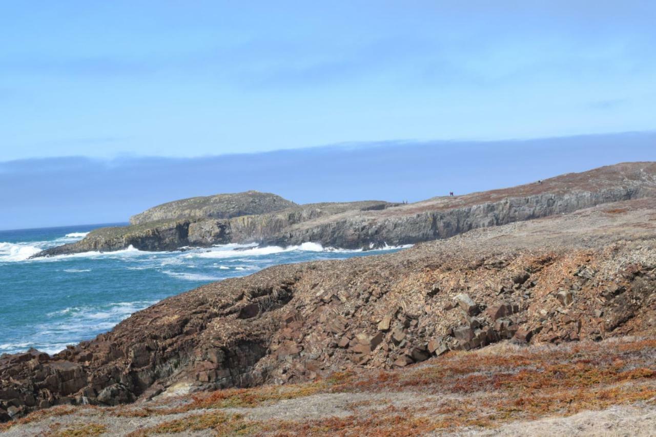 Bird Island B&B Bed And Bubble Elliston Exterior foto